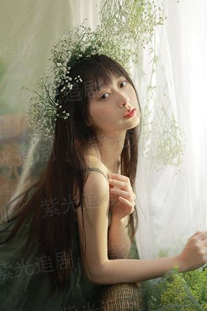 深宫美人策