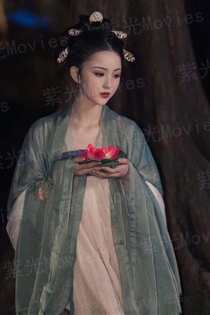 恋上夏天的浪花
