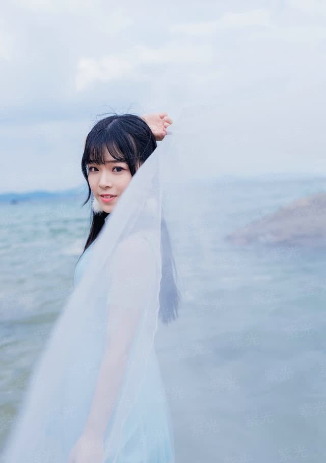 落樱时节